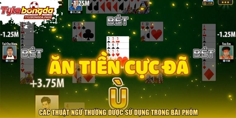 Các thuật ngữ thường được sử dụng trong bài Phỏm