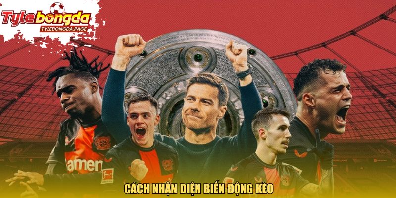 Cách nhận diện biến động kèo